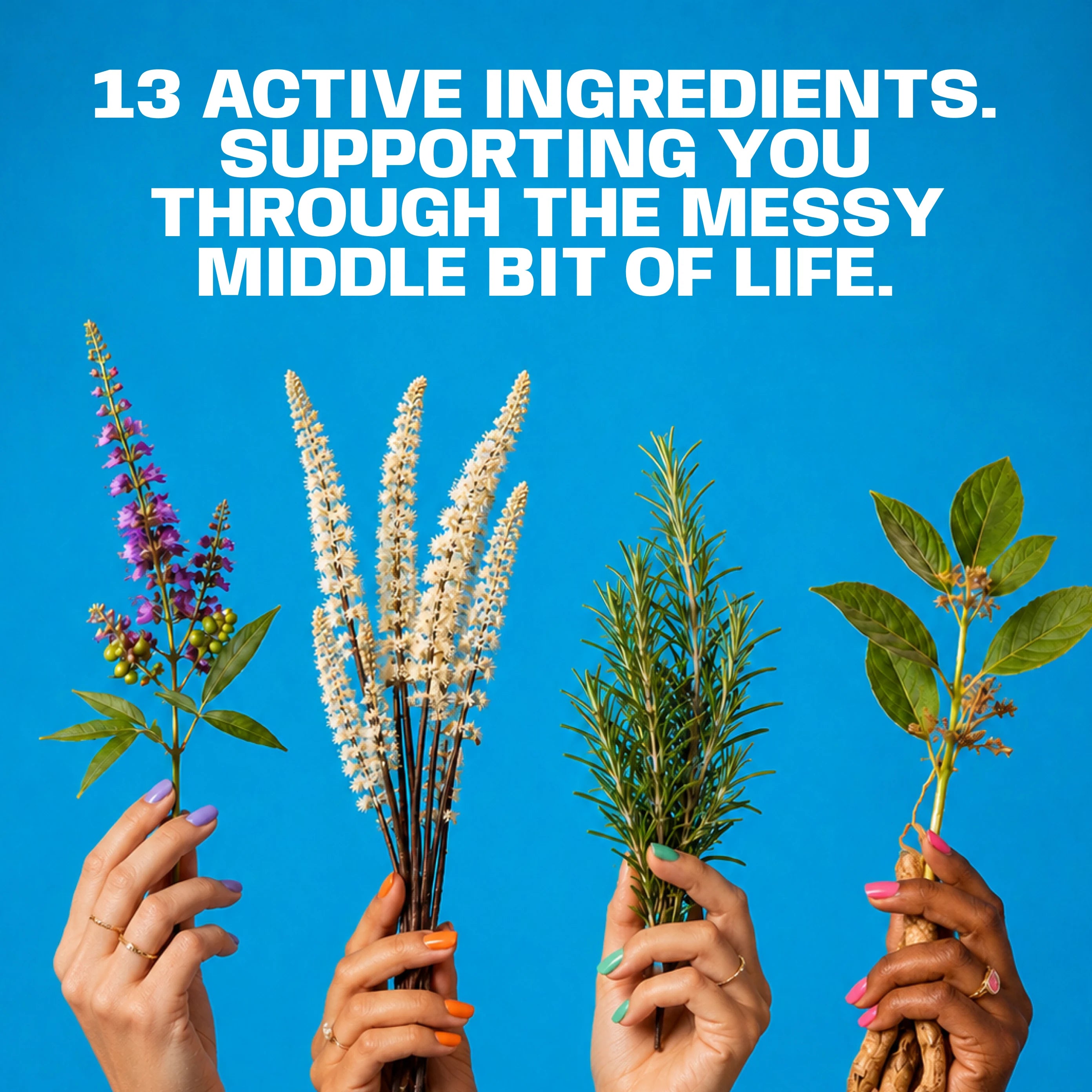 A promotional graphic with a bright blue background and large white text reading '13 ACTIVE INGREDIENTS. SUPPORTING YOU THROUGH THE MESSY MIDDLE BIT OF LIFE.