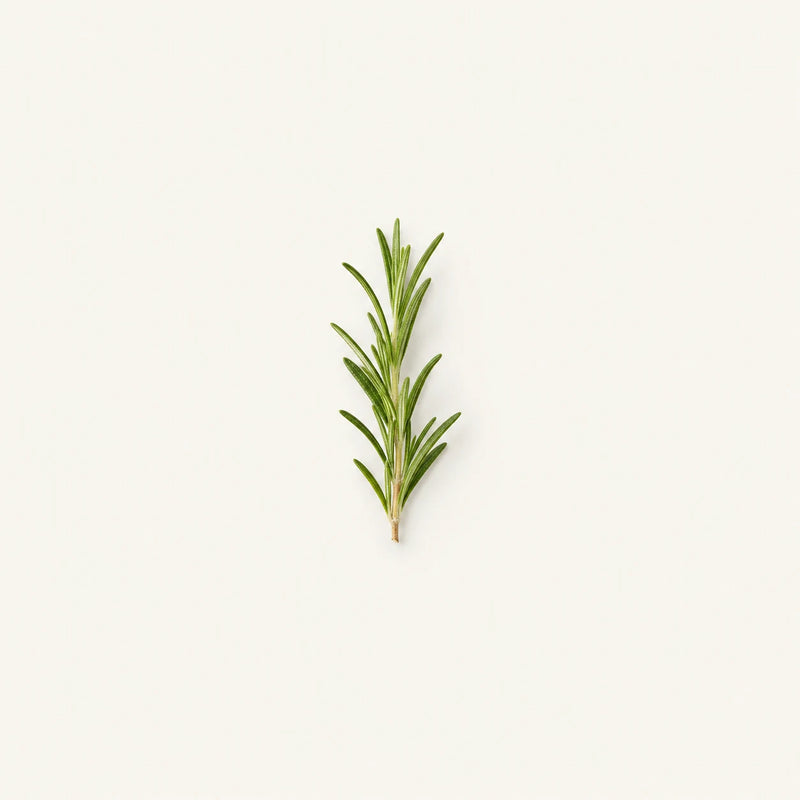 A single fresh rosemary sprig with green needles and a light brown stem, centered on a solid off-white background.
